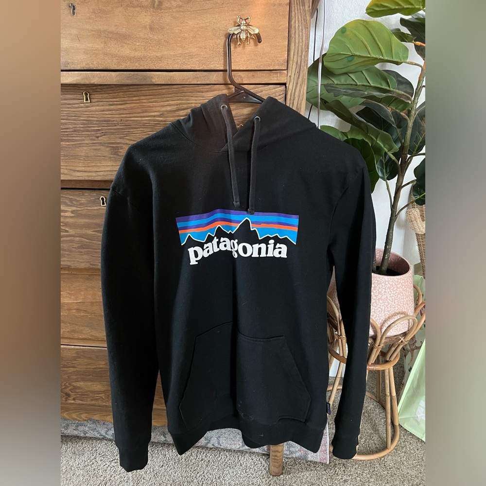 Patagonia Hoodie